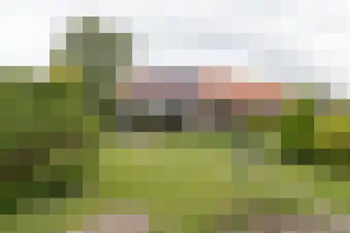 Akkereindenweg 19 Siddeburen thumbnail 9