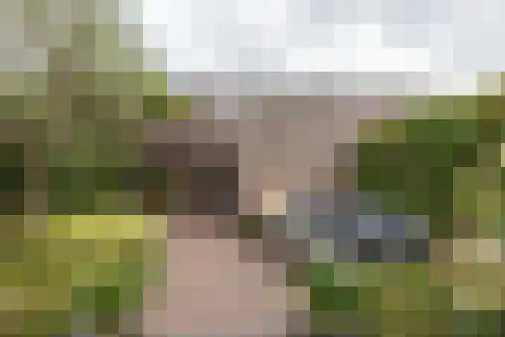 Akkerend 1 2 Zuidhorn thumbnail 17