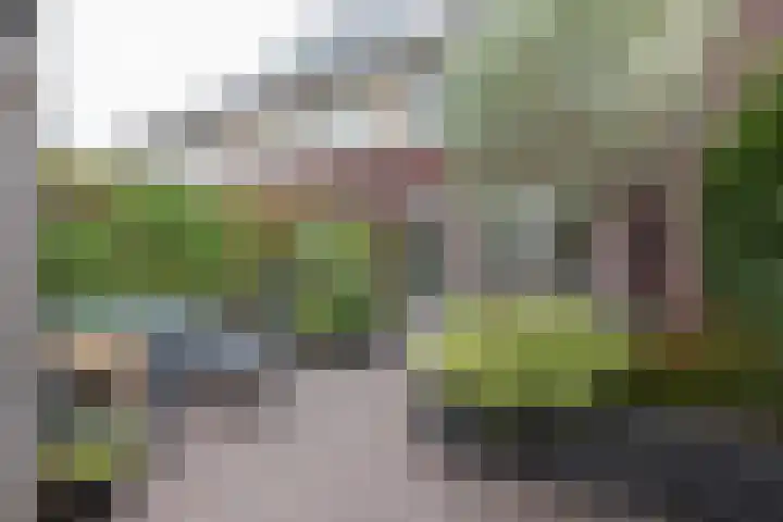 Akkerend 1 2 Zuidhorn thumbnail 20