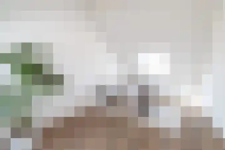 Akkerend 1 2 Zuidhorn thumbnail 32