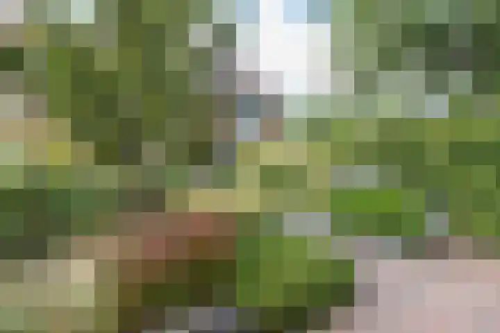 Akkerend 1 2 Zuidhorn thumbnail 34
