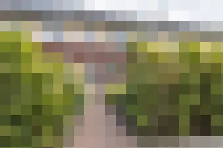 Akkerend 1 2 Zuidhorn thumbnail 36