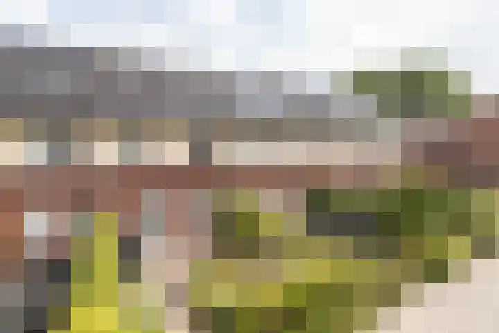 Akkerend 1 2 Zuidhorn thumbnail 37