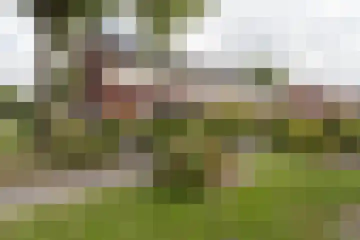 Akkerend 1 2 Zuidhorn thumbnail 38