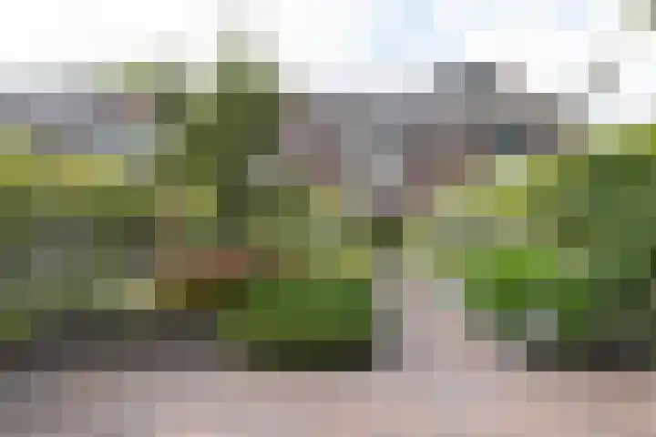 Akkerend 1 2 Zuidhorn thumbnail 4