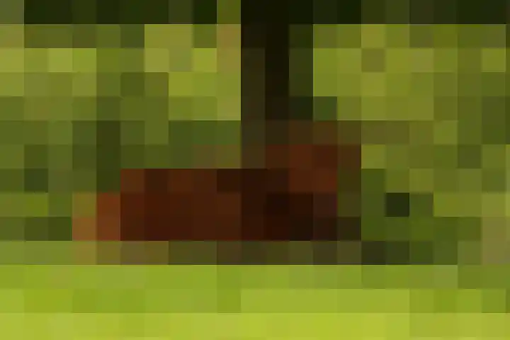 Akkerend 1 2 Zuidhorn thumbnail 40