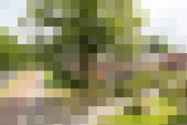 Akkerend 1 2 Zuidhorn thumbnail 44