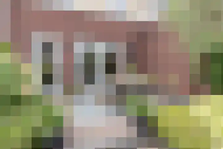 Akkerend 1 2 Zuidhorn thumbnail 6