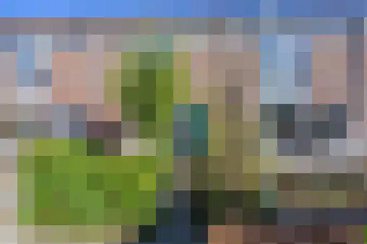 Akkerend 53 Zuidhorn thumbnail 39