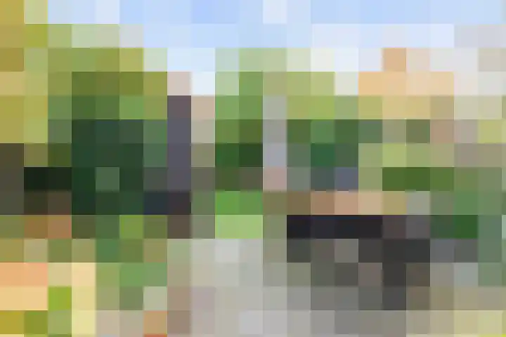 Akkerend 56 Zuidhorn thumbnail 25