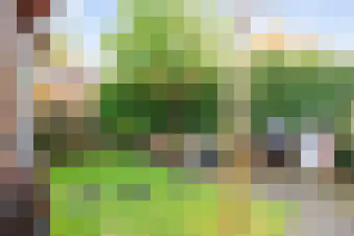Akkerend 56 Zuidhorn thumbnail 26