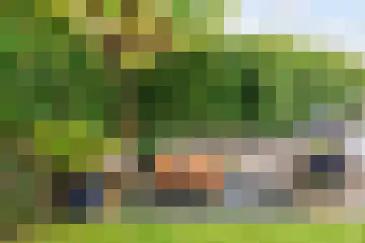 Akkerend 56 Zuidhorn thumbnail 27