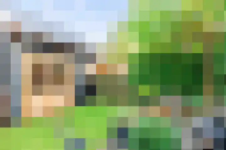 Akkerend 56 Zuidhorn thumbnail 28