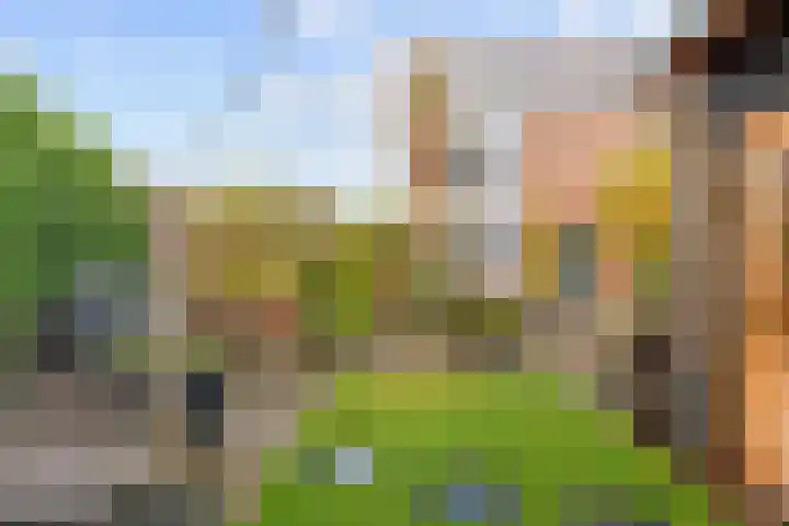 Akkerend 56 Zuidhorn thumbnail 30