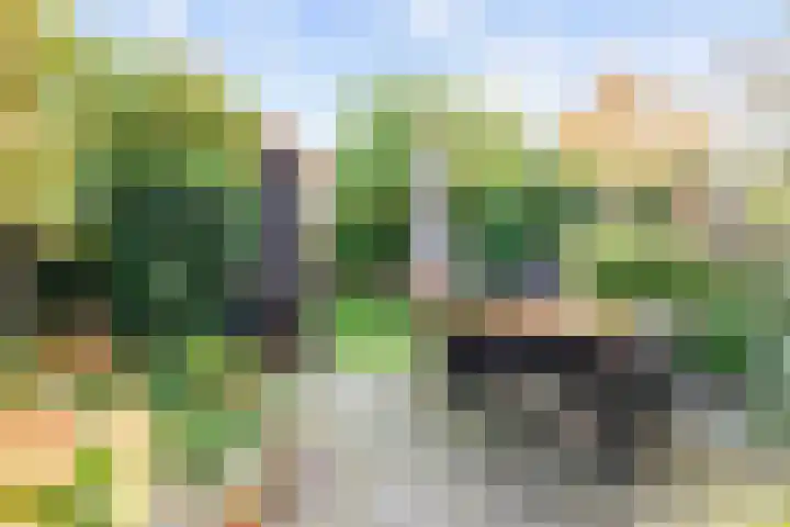 Akkerend 56 Zuidhorn thumbnail 4
