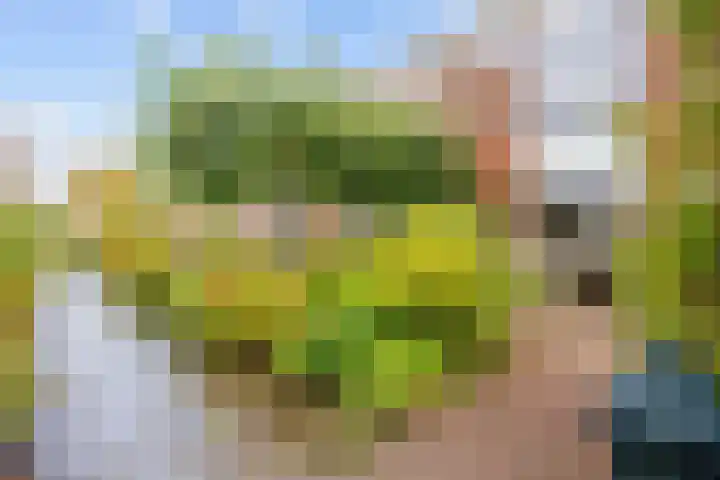 Akkerend 56 Zuidhorn thumbnail 5