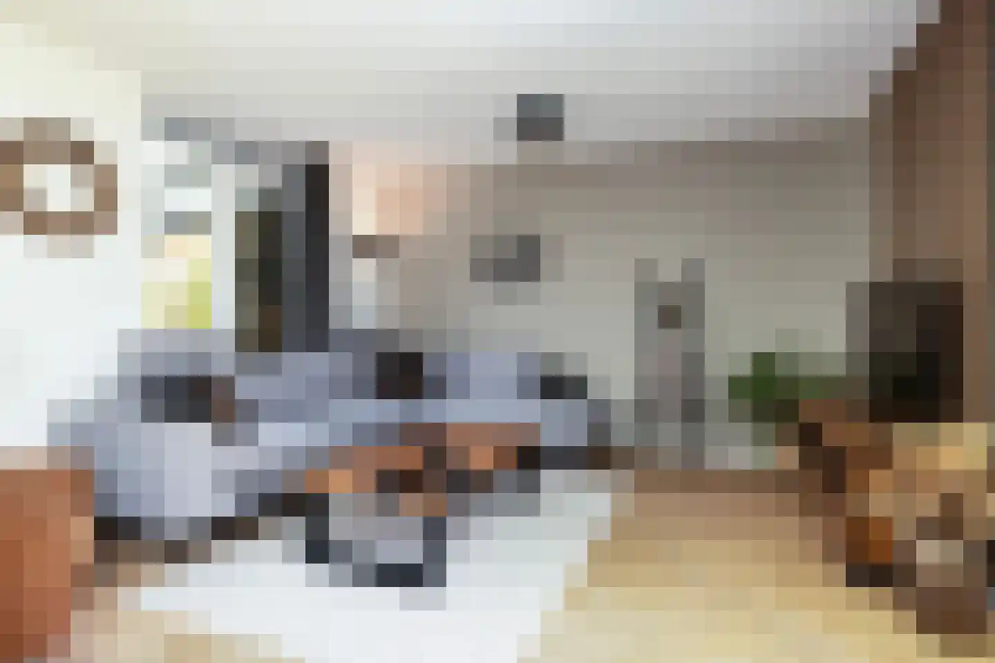 Akkergeelster 65 Brummen thumbnail 13