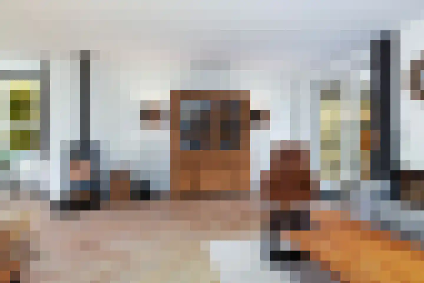 Akkergeelster 65 Brummen thumbnail 14