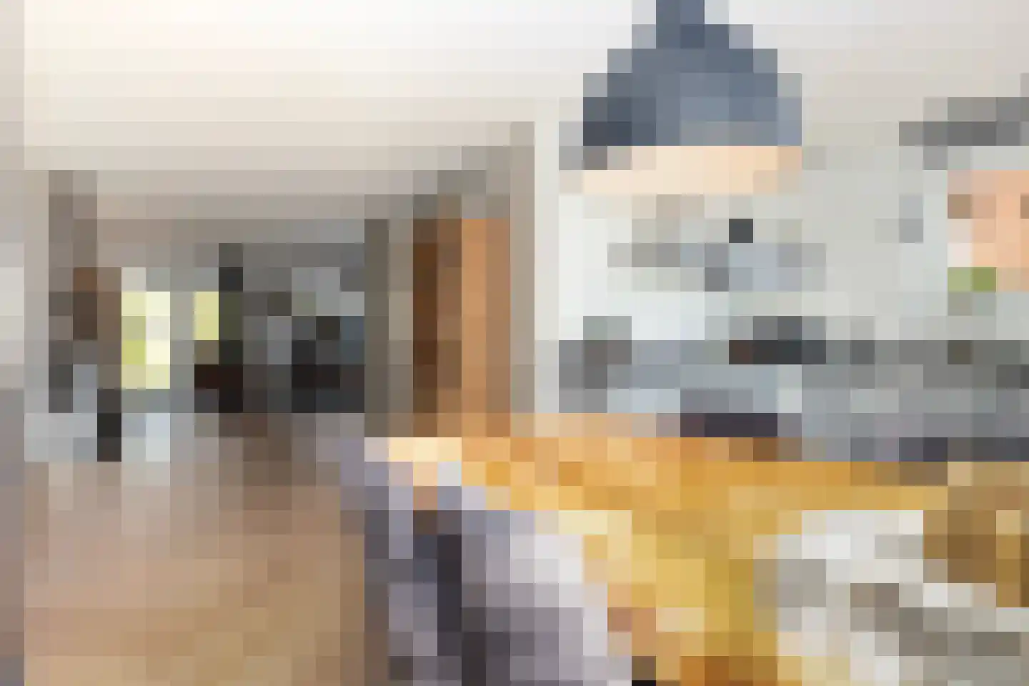 Akkergeelster 65 Brummen thumbnail 24