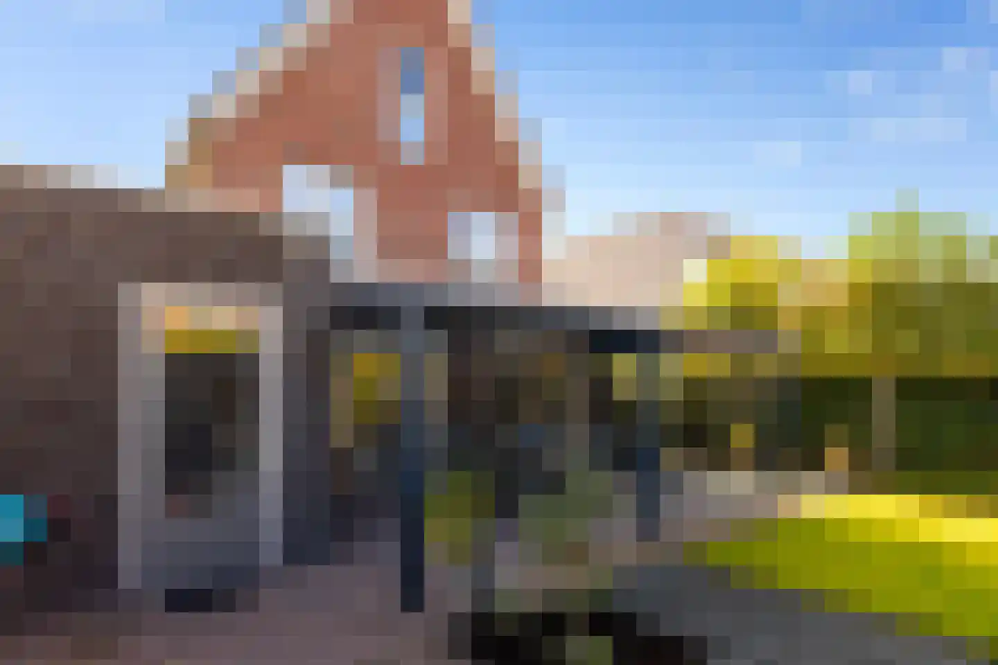 Akkergeelster 65 Brummen thumbnail 27