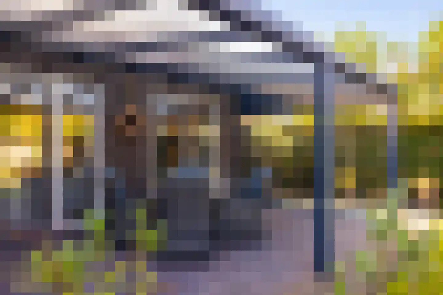 Akkergeelster 65 Brummen thumbnail 28