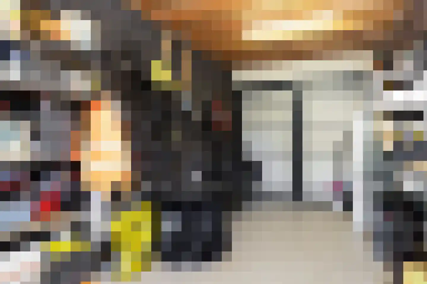 Akkergeelster 65 Brummen thumbnail 31