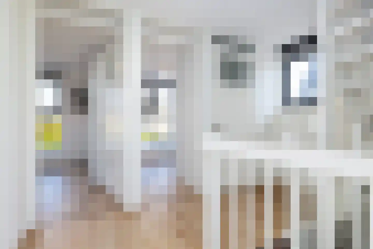 Akkergeelster 65 Brummen thumbnail 37