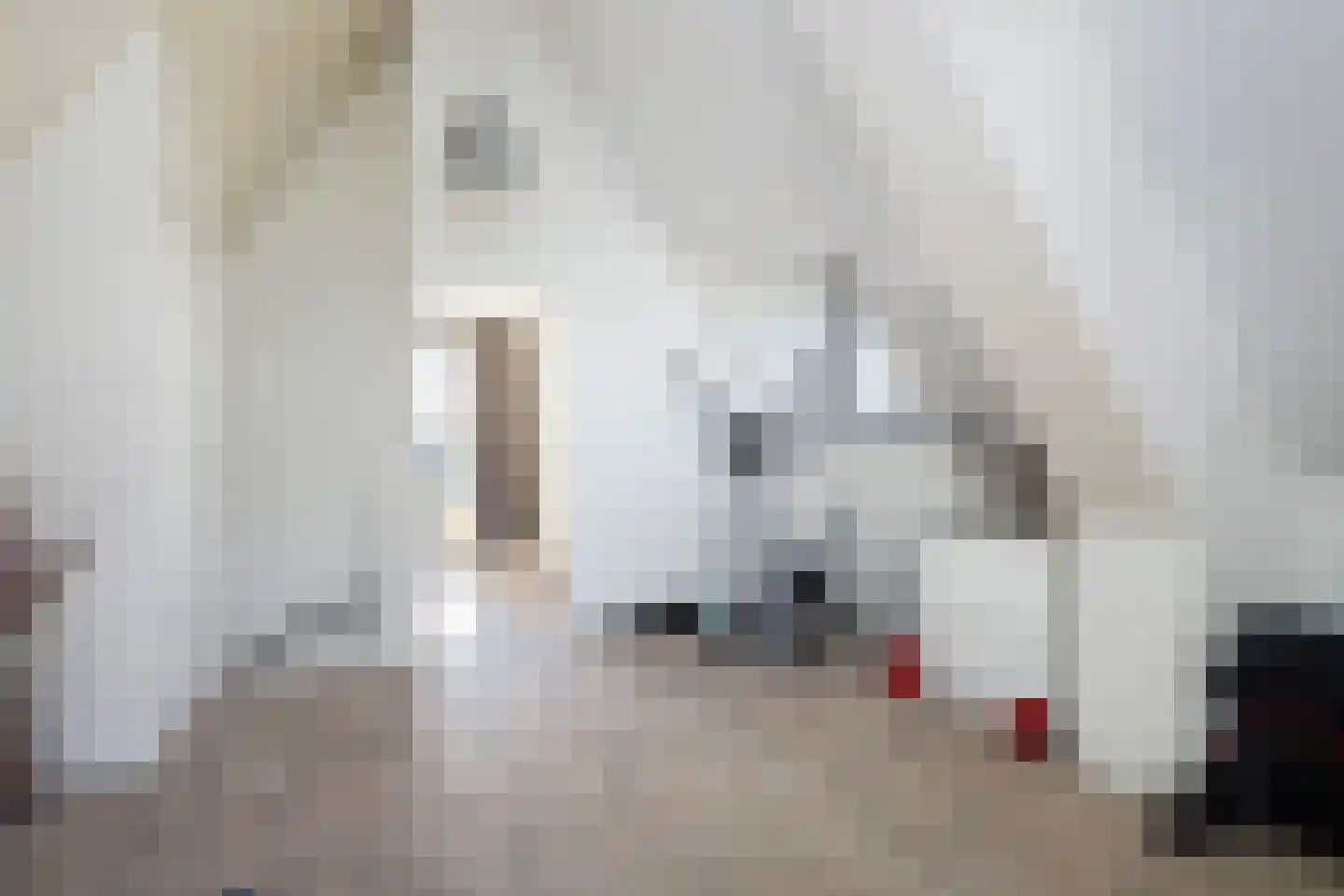 Akkergeelster 65 Brummen thumbnail 42