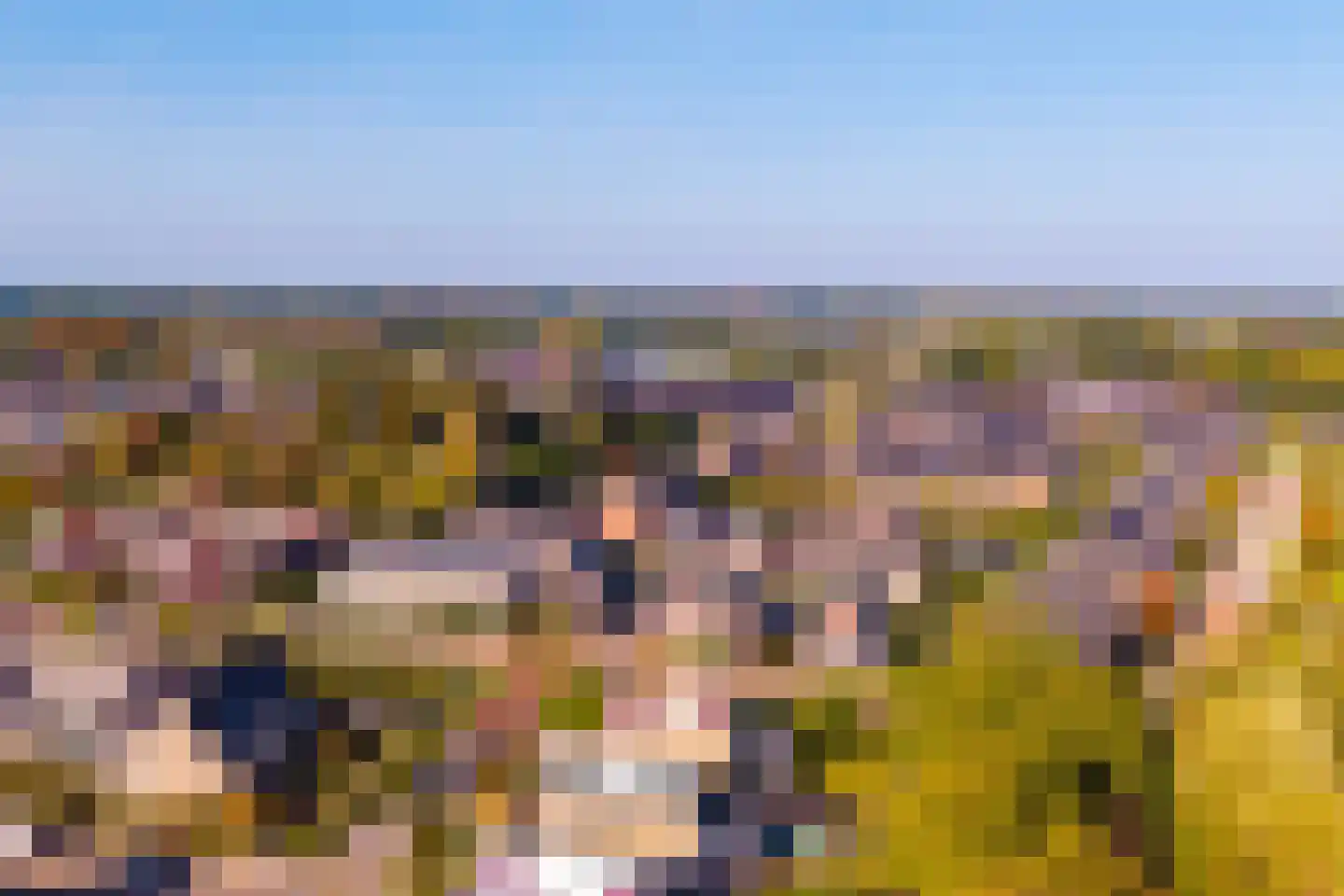 Akkergeelster 65 Brummen thumbnail 44