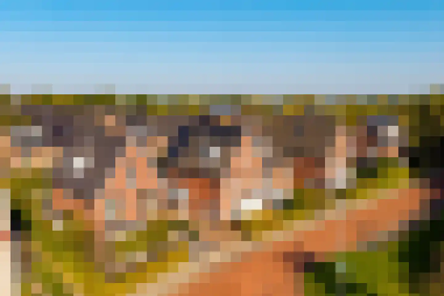 Akkergeelster 65 Brummen thumbnail 46
