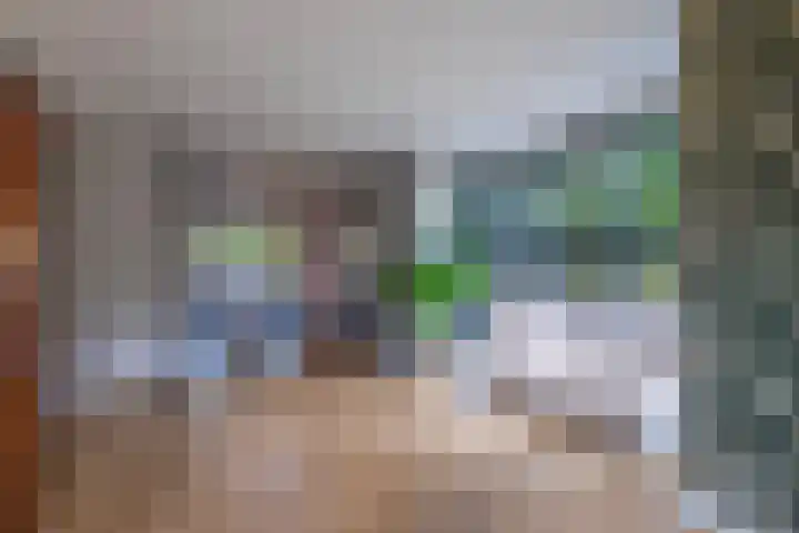Akkergeelster 71 Brummen thumbnail 11