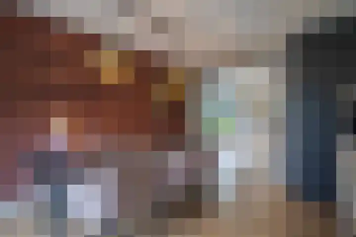 Akkergeelster 71 Brummen thumbnail 13