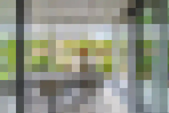 Akkergeelster 71 Brummen thumbnail 20