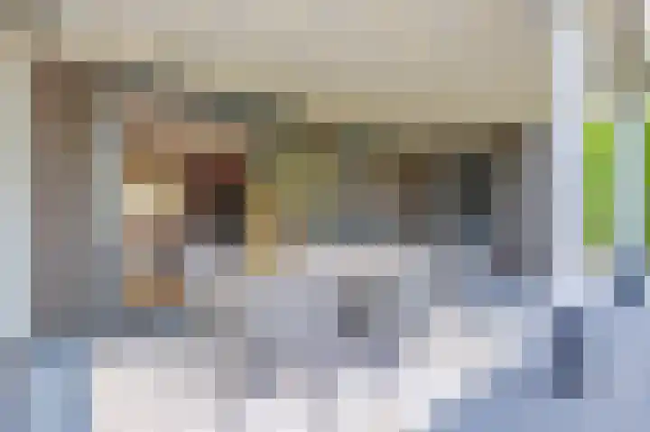 Akkergeelster 71 Brummen thumbnail 21