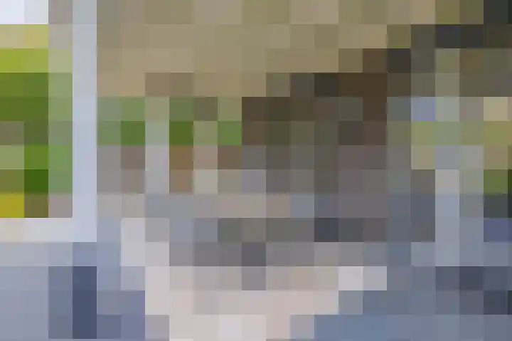 Akkergeelster 71 Brummen thumbnail 22