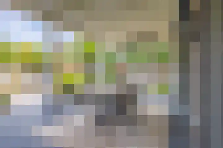 Akkergeelster 71 Brummen thumbnail 23