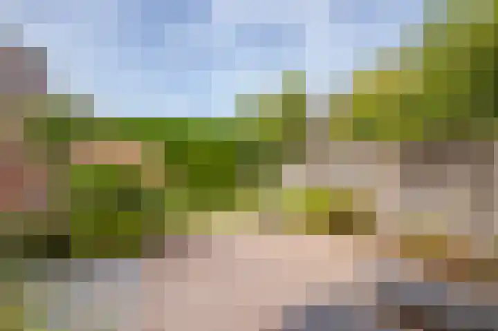 Akkergeelster 71 Brummen thumbnail 25