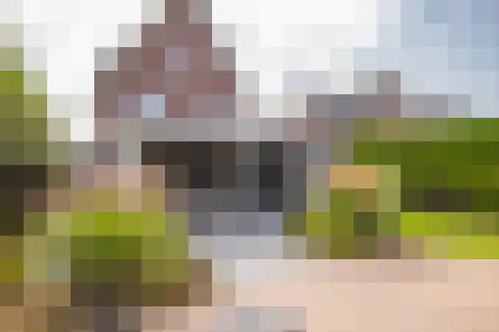 Akkergeelster 71 Brummen thumbnail 26