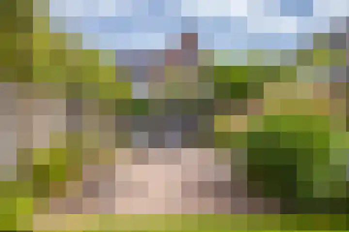 Akkergeelster 71 Brummen thumbnail 27