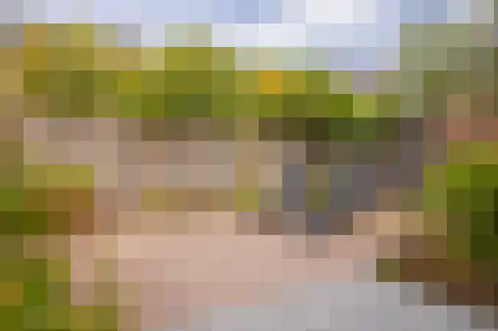 Akkergeelster 71 Brummen thumbnail 28