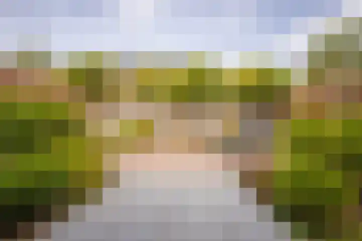 Akkergeelster 71 Brummen thumbnail 29