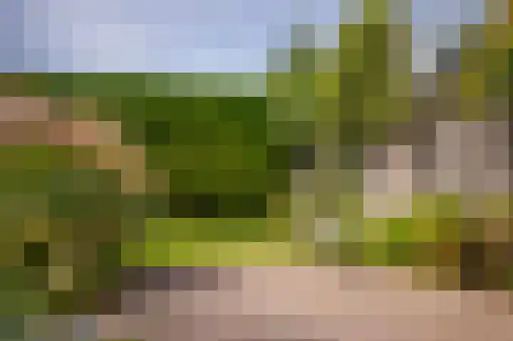 Akkergeelster 71 Brummen thumbnail 30