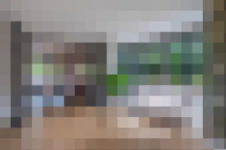 Akkergeelster 71 Brummen thumbnail 4