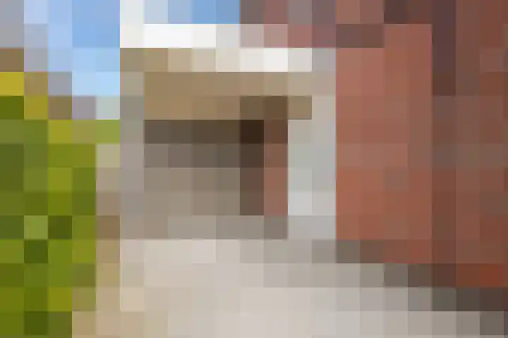 Akkergeelster 71 Brummen thumbnail 47