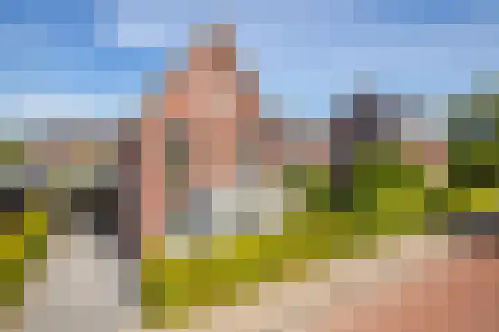 Akkergeelster 71 Brummen thumbnail 48