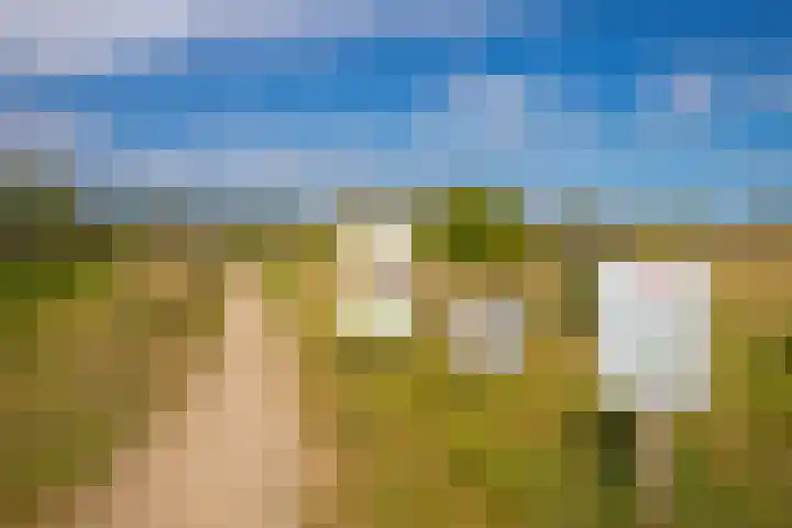 Akkergeelster 71 Brummen thumbnail 49