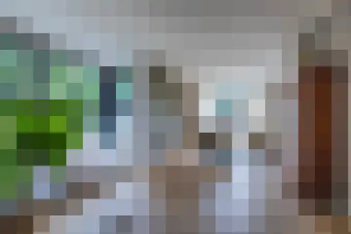 Akkergeelster 71 Brummen thumbnail 6