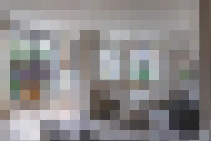 Akkergeelster 71 Brummen thumbnail 7
