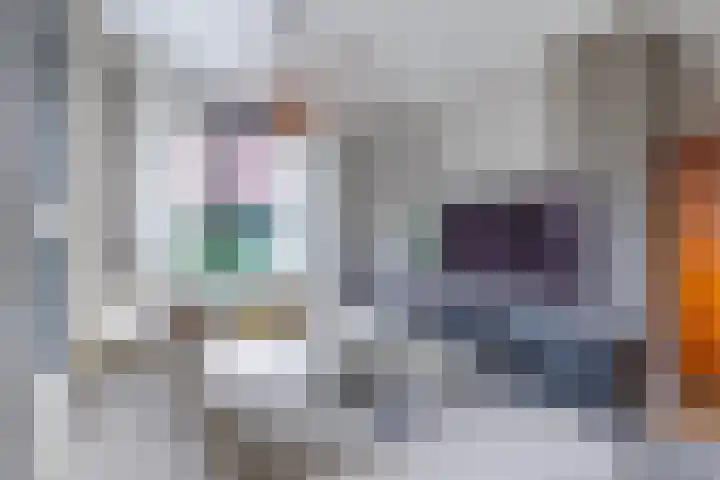 Akkergeelster 71 Brummen thumbnail 9