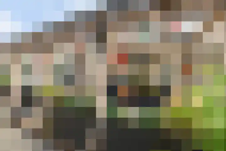 Akkerhoef 13 Bergen op Zoom thumbnail 30